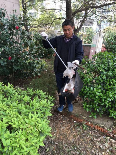 节造鼠害、预防疾病，构建和谐文化社区